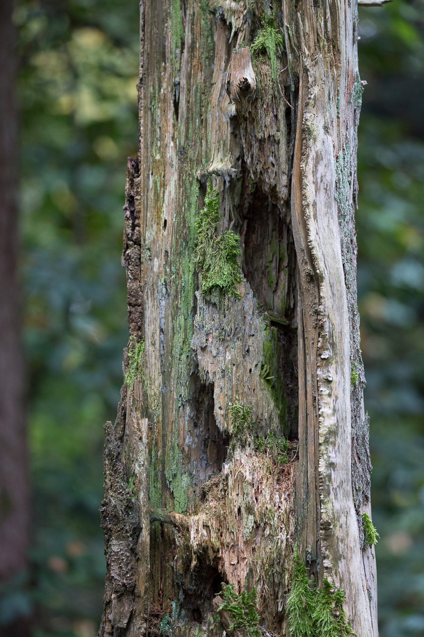 20231014100727 3K6A2274